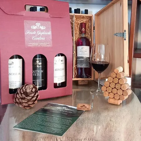 Feudo Gagliardi Alojamento de Turismo Rural *