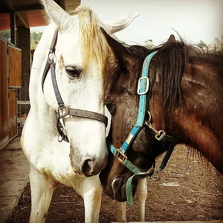 Alojamento de Turismo Rural Feudo Gagliardi Caulonia