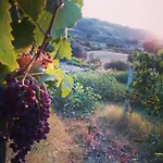Feudo Gagliardi * Caulonia