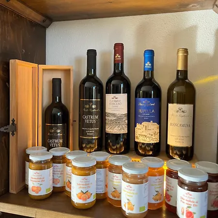 Feudo Gagliardi مزرعة للإقامة *