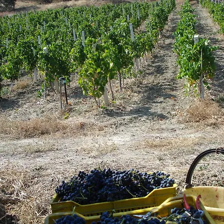 Bauernhof Feudo Gagliardi Caulonia