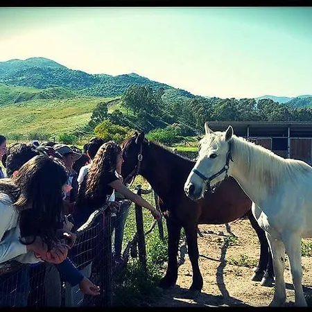 Feudo Gagliardi * Caulonia