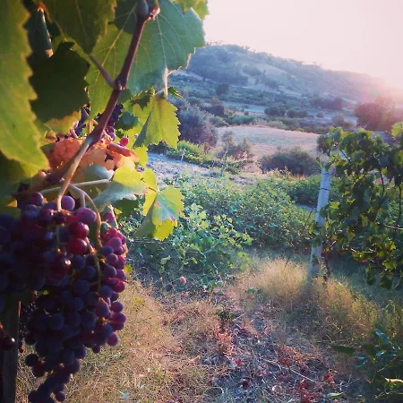 Feudo Gagliardi * Caulonia