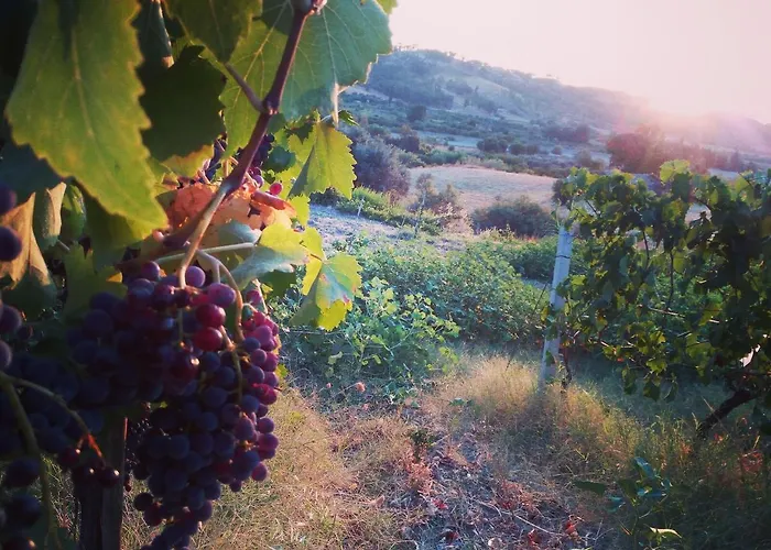 Feudo Gagliardi * Caulonia